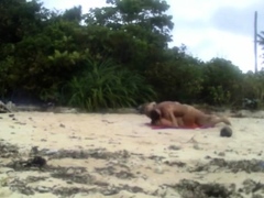 Hidden beach love motion