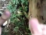 Outdoor Handjob for a Big Cock